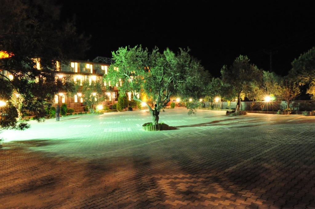 Assos Park Hotel Екстер'єр фото